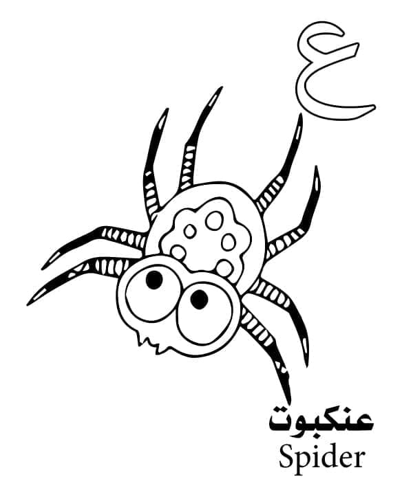 Arabic Alphabet Letter ع is for Spider