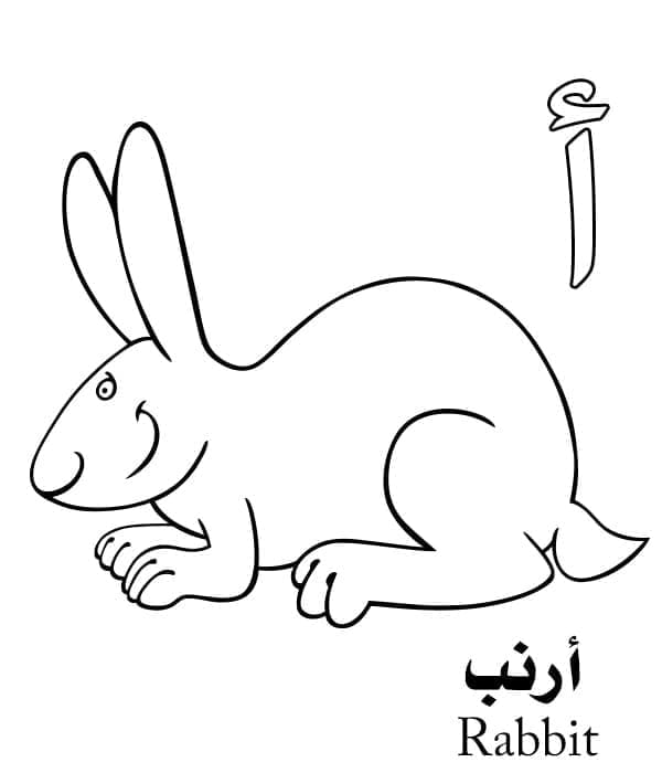 Arabic Alphabet Letter أ is for Rabbit