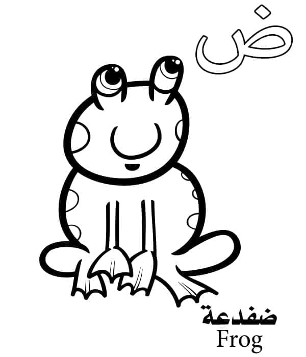 Arabic Alphabet Letter ض is for Frog