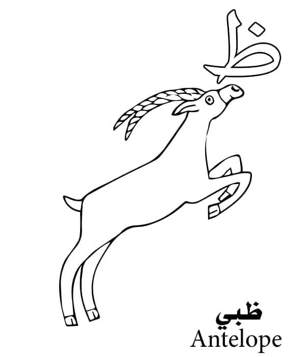 Arabic Alphabet Letter ظ is for Antelope