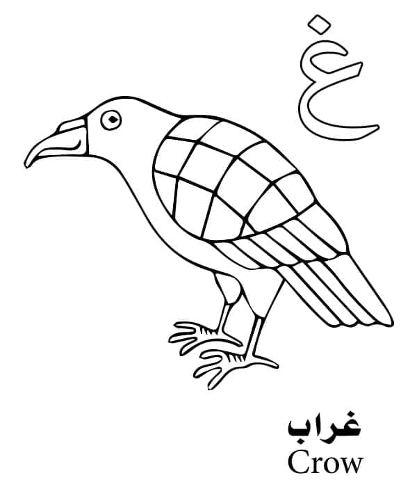 Arabic Alphabet Letter غ is for Crow