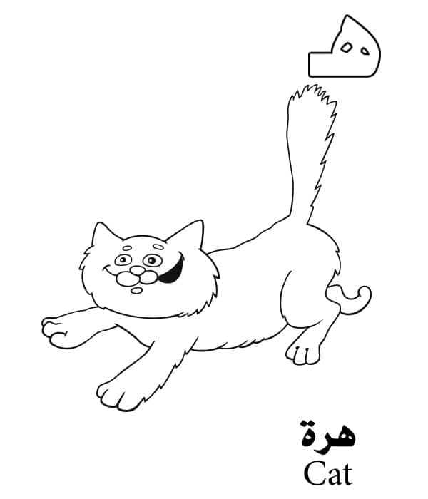 Arabic Alphabet Letter ه is for Cat