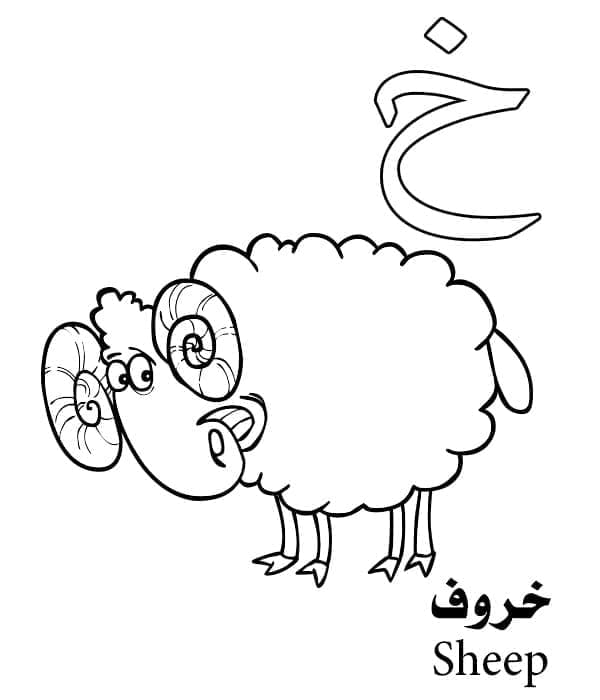 Arabic Alphabet Letter خ is for Sheep