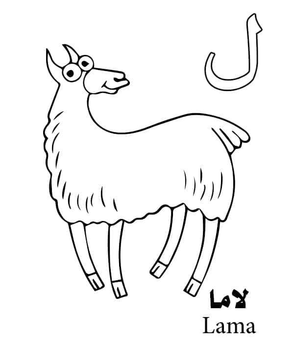 Arabic Alphabet Letter ل is for Lama