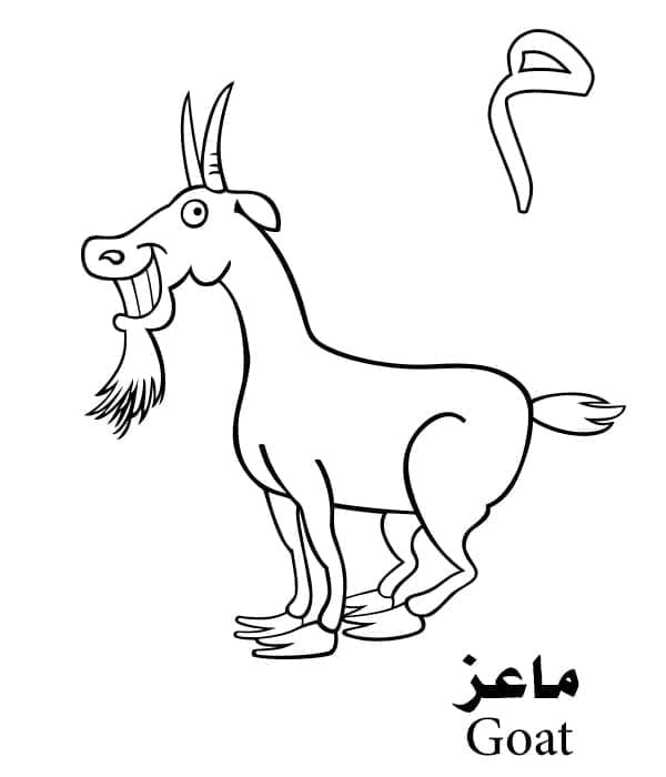 Arabic Alphabet Letter م is for Goat