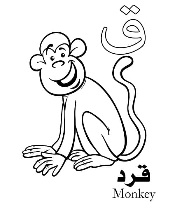 Arabic Alphabet Letter ق is for Monkey