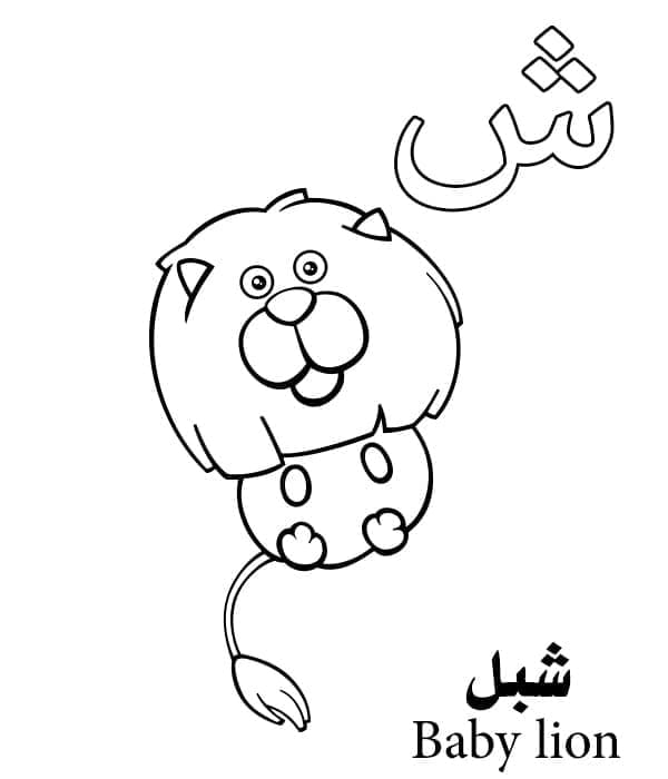 Arabic Alphabet Letter ش is for Baby Lion