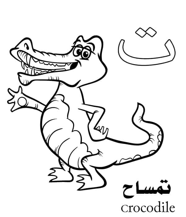 Arabic Alphabet Letter ت is for Crocodile