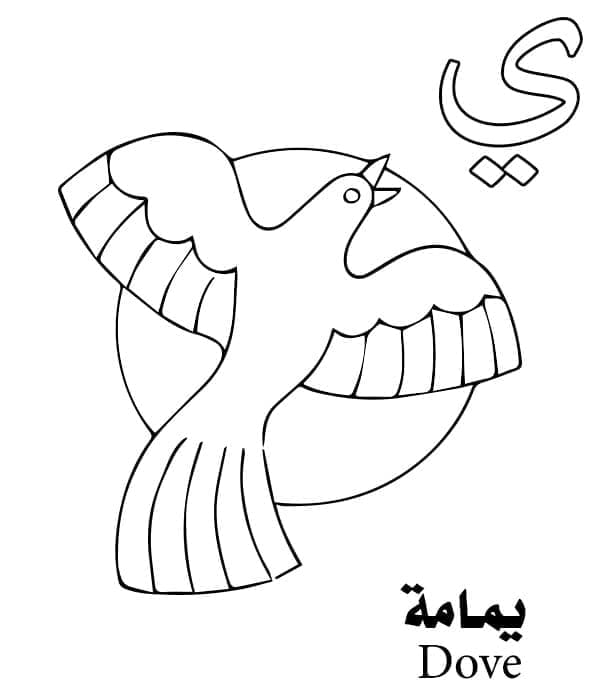 Arabic Alphabet Letter ي is for Dove