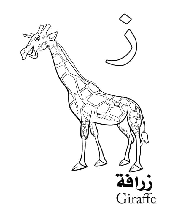 Arabic Alphabet Letter ز is for Giraffe