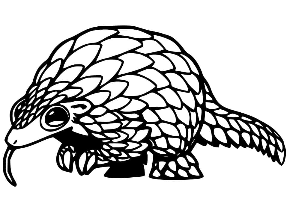 Baby Pangolin