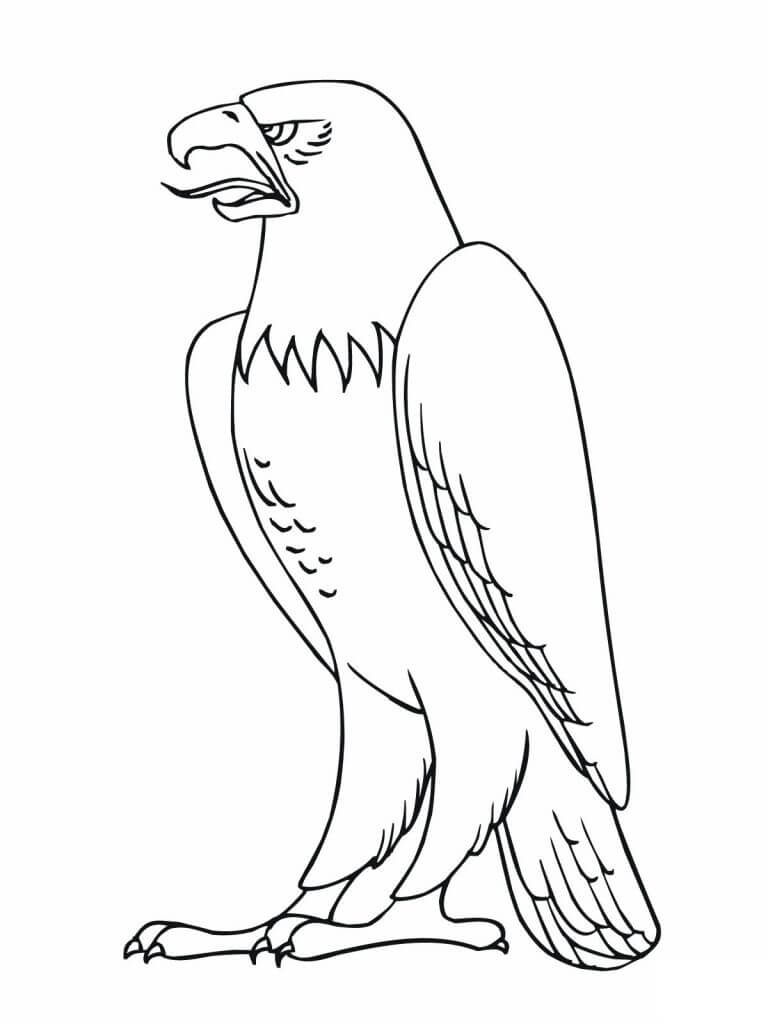Coloring Page of Eagle Coloring Game Coloring Page of Eagle