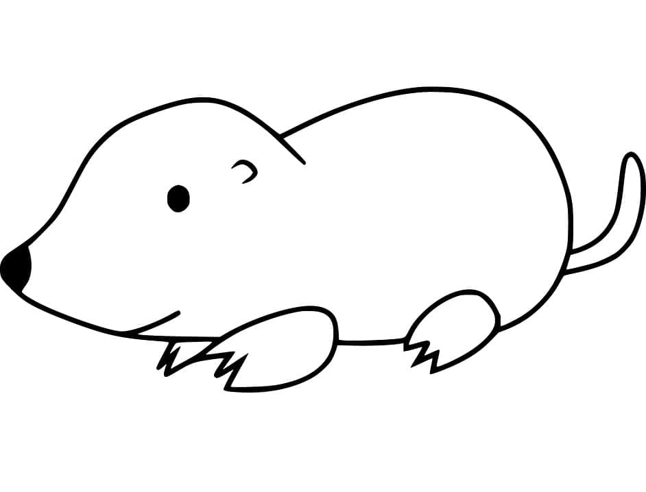Cute Mole Coloring Game Cute Mole