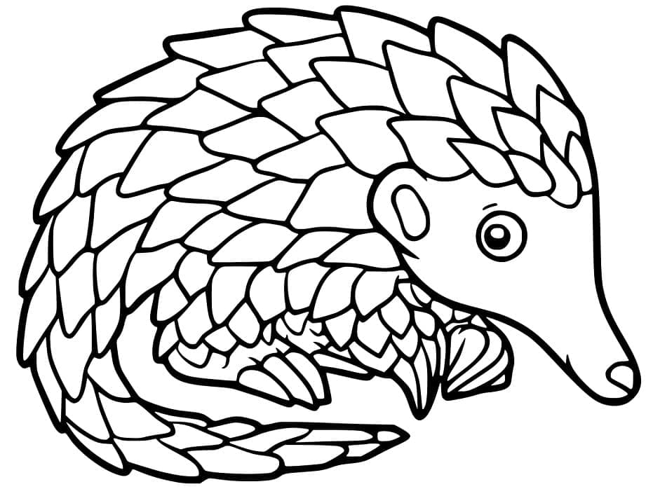 Cute Pangolin Coloring Game Cute Pangolin