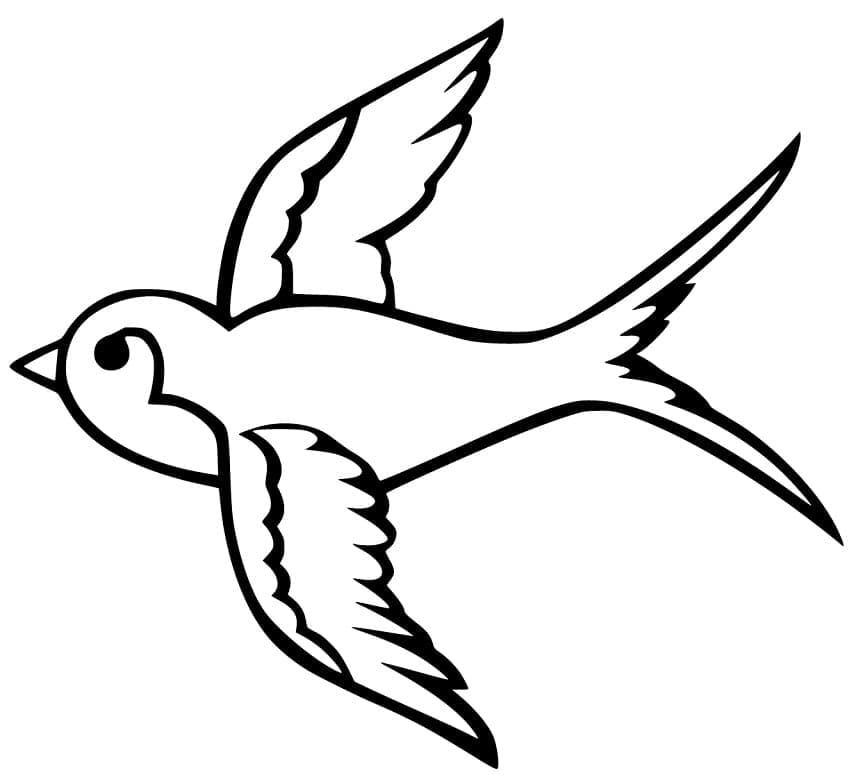 Cute Swallow Coloring Game Cute Swallow