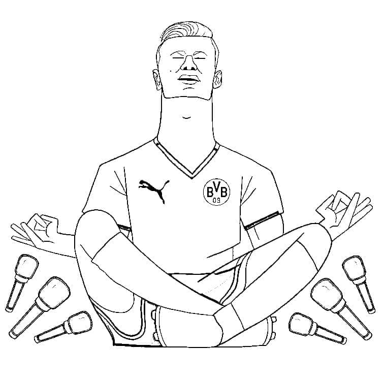 Free Erling Haaland Coloring Game Free Erling Haaland