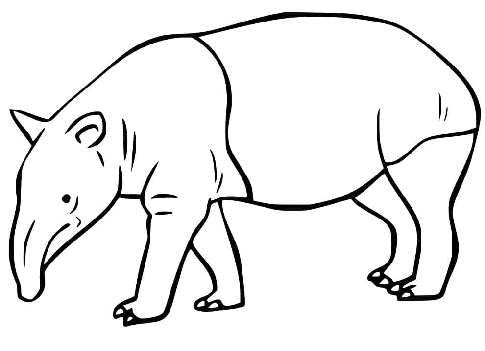 Free Printable Tapir