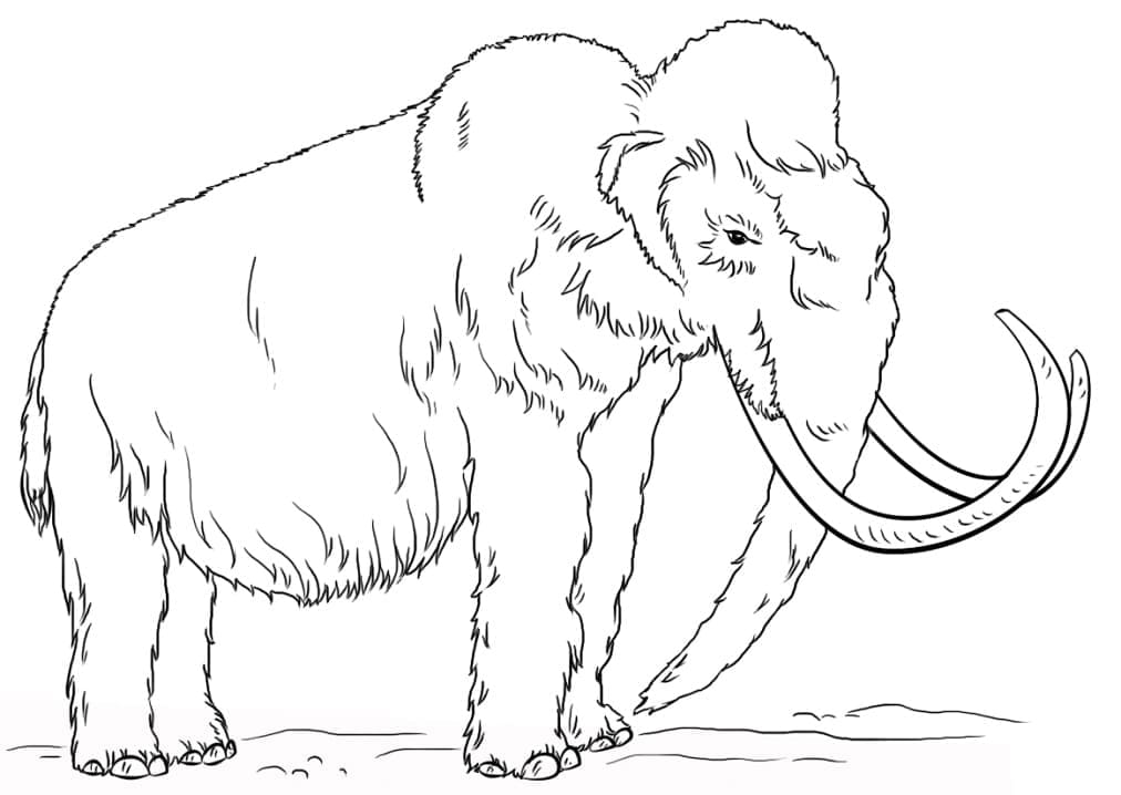 Free Woolly Mammoth