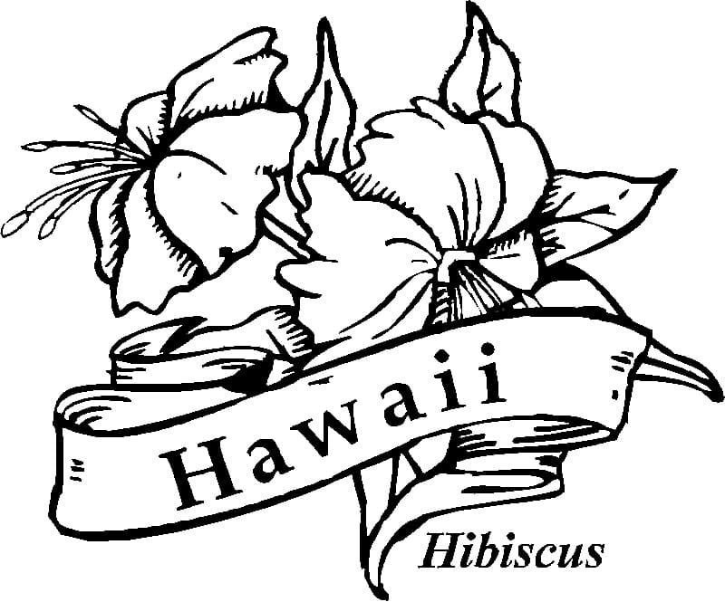 Hawaii Hibiscus Coloring Game Hawaii Hibiscus