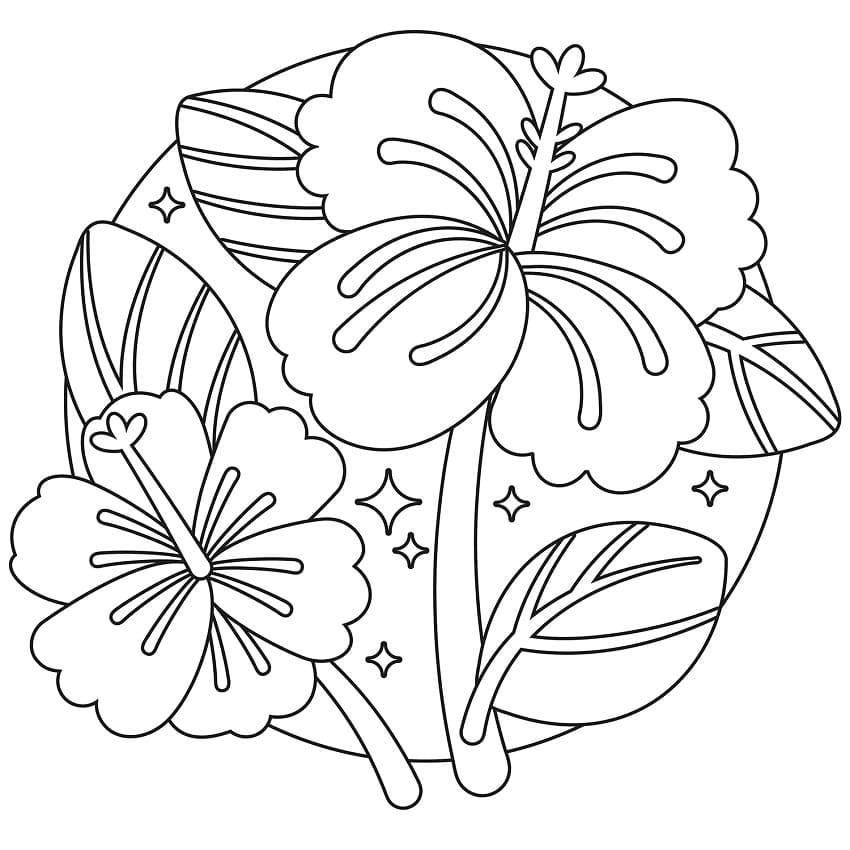 Hibiscus 9 Coloring Game Hibiscus 9