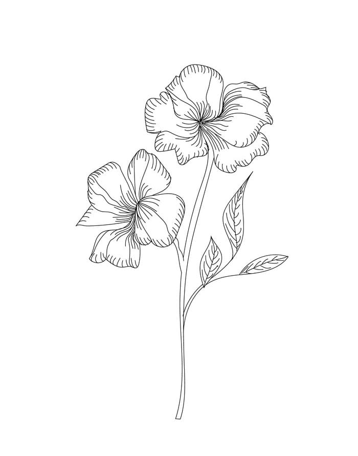 Hibiscus Flower 3 Coloring Game Hibiscus Flower 3