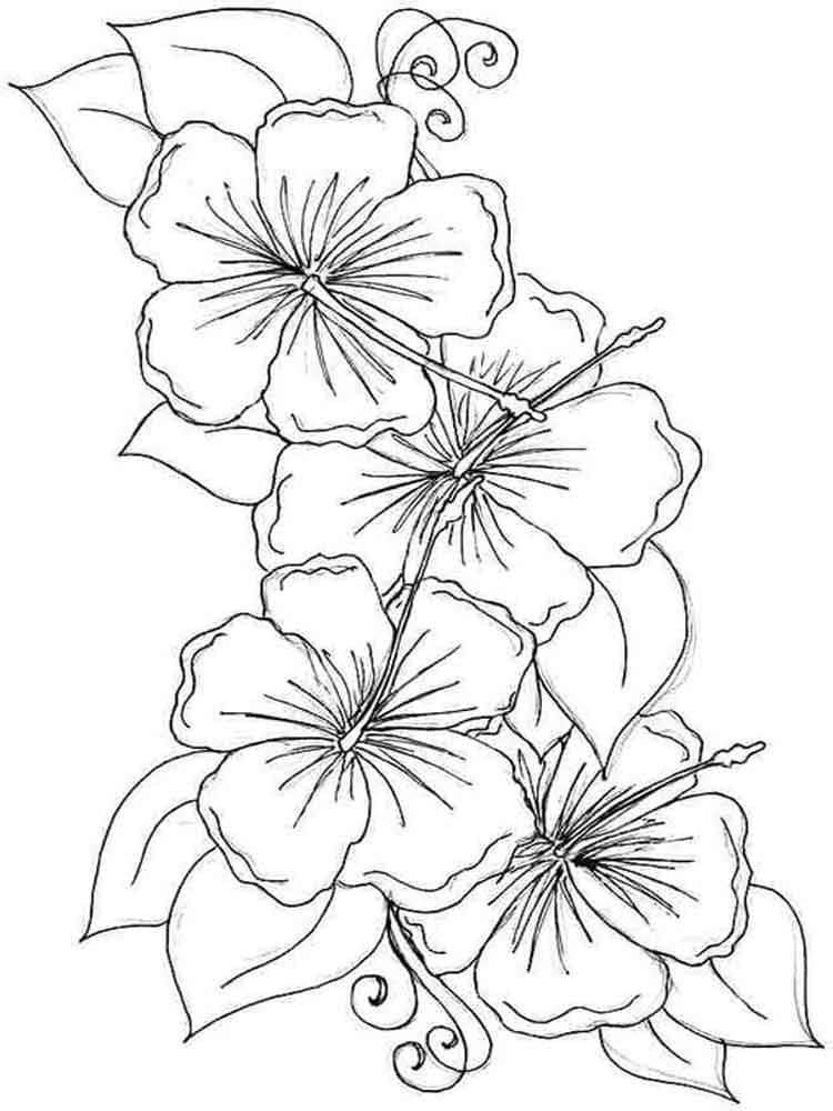 Hibiscus Flowers 2 Coloring Game Hibiscus Flowers 2
