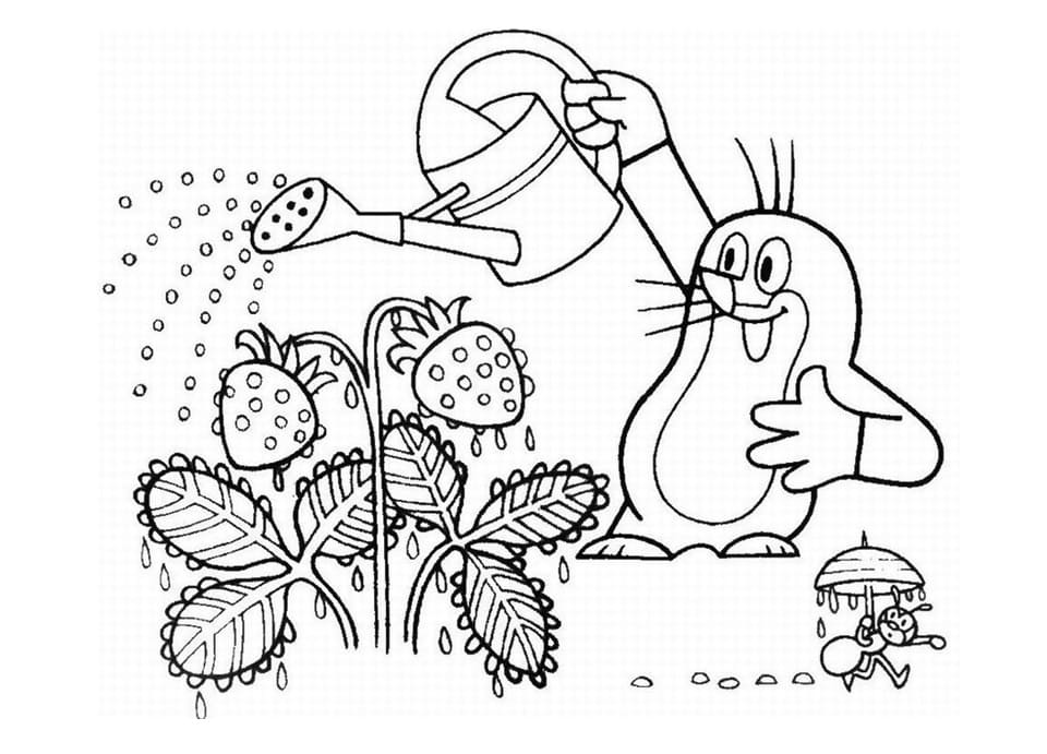 Krtek Watering Plant