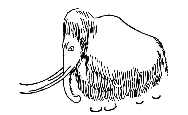 Mammoth Drawing