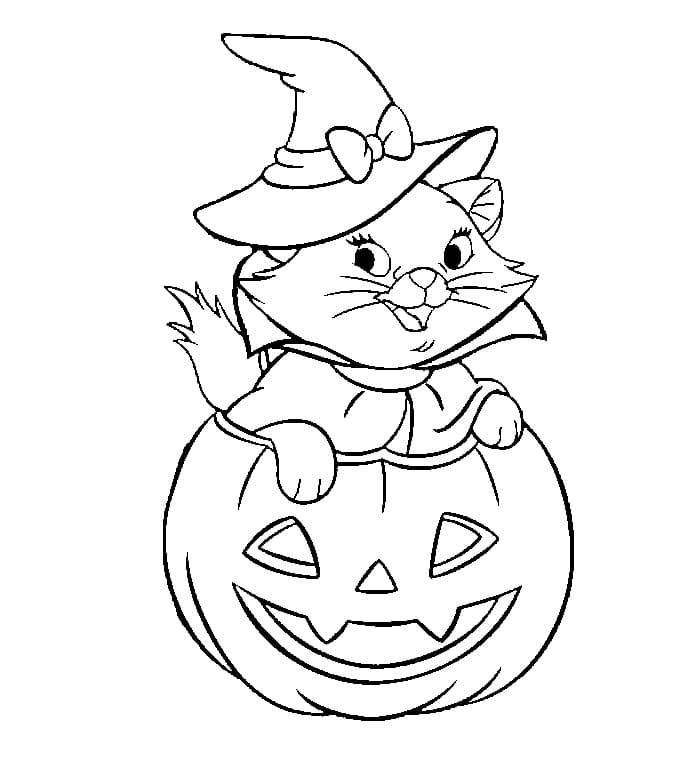 Marie Cat on Halloween