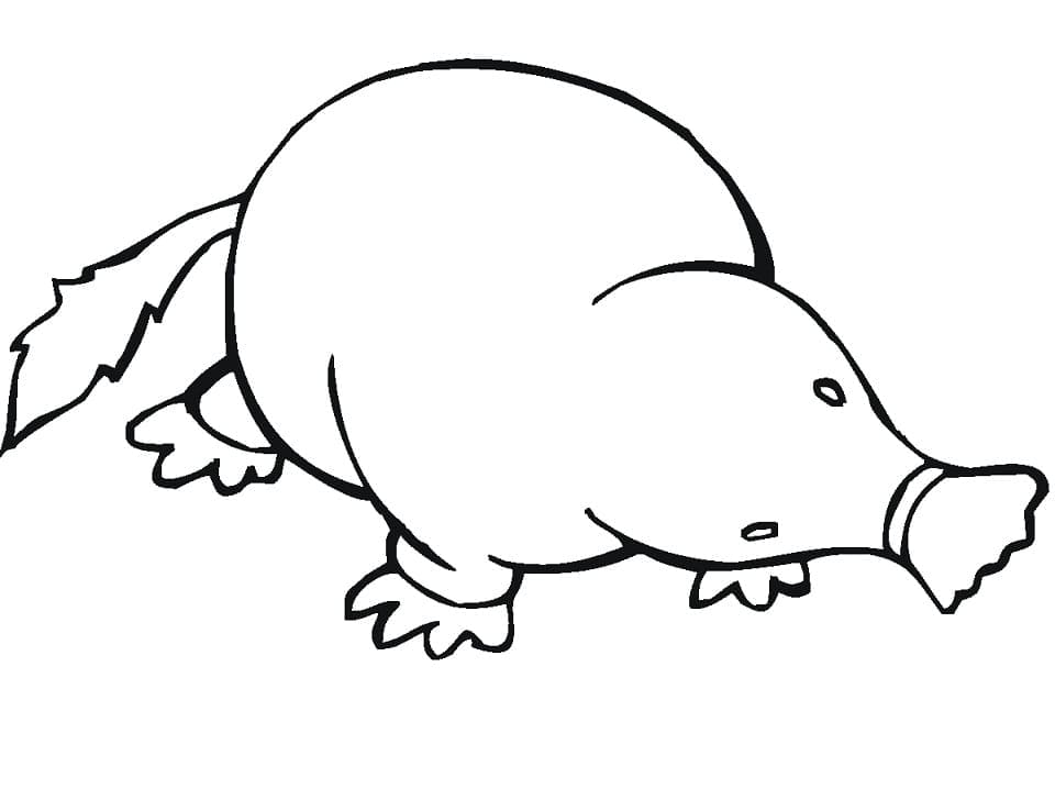 Mole 6