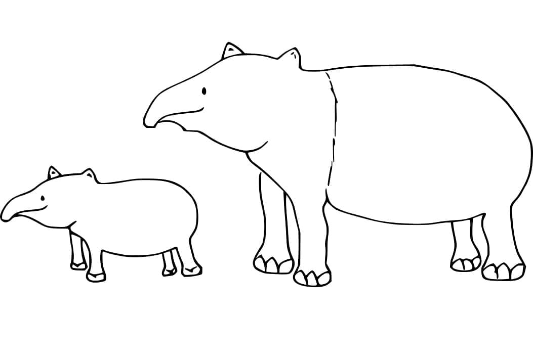 Mother and Baby Tapir