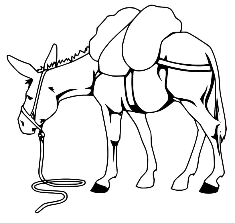 Mule Printable