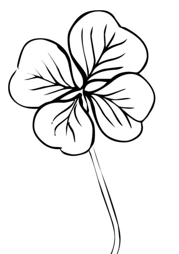 Nature Four Leaf Clover Coloring Game Nature Four Leaf Clover
