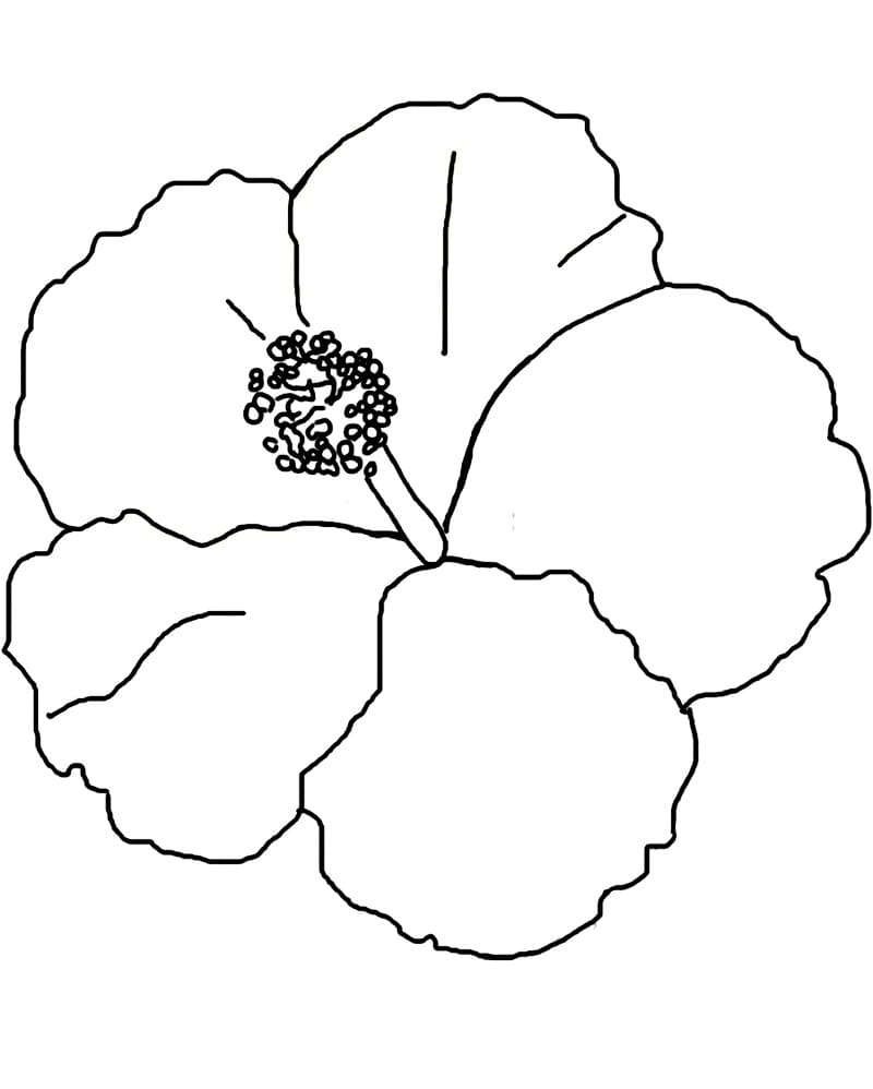 Normal Hibiscus Coloring Game Normal Hibiscus