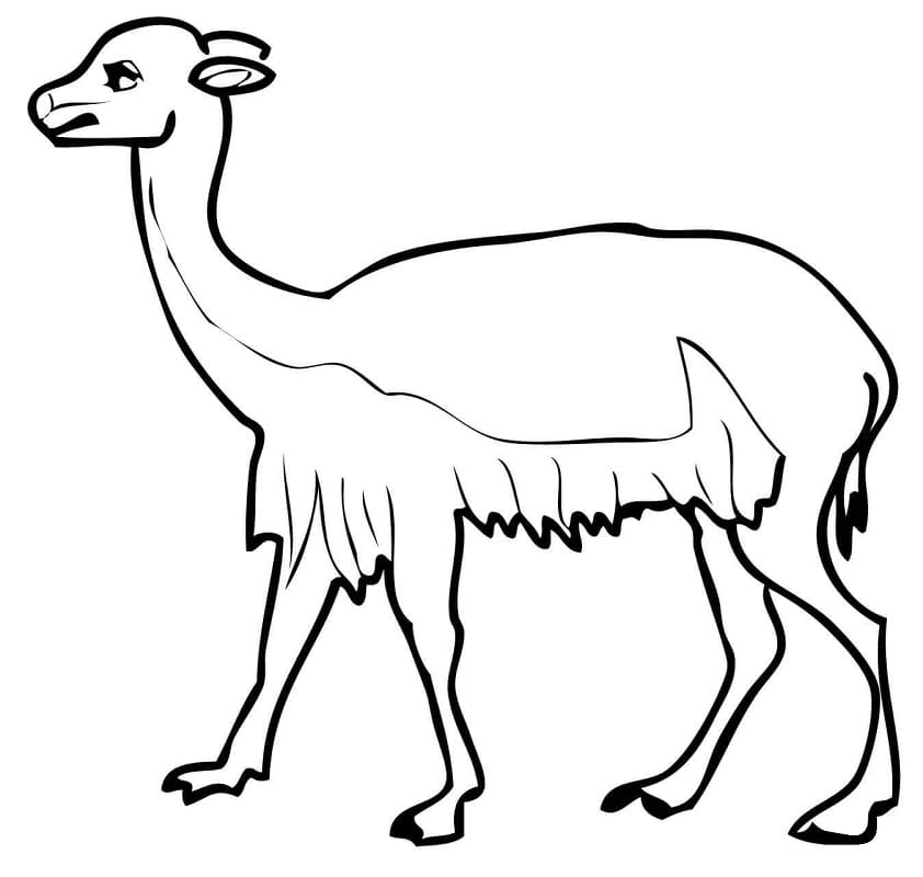 Normal Vicuna