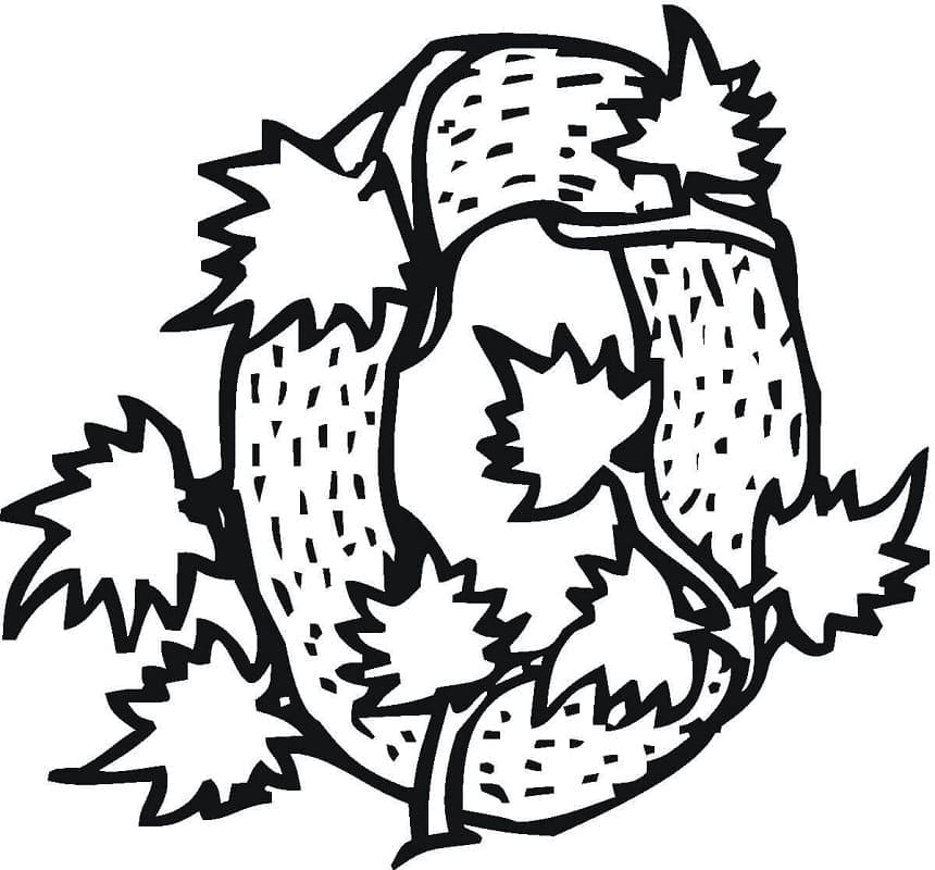 Number 0 For Children