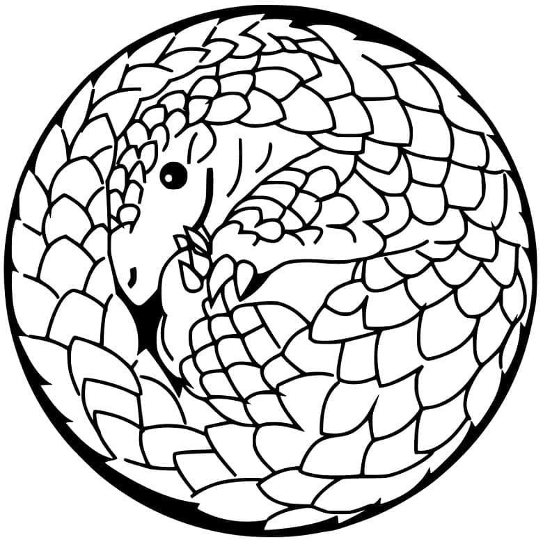 Pangolin Ball
