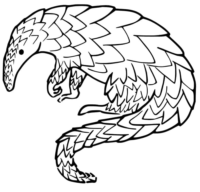 Printable Giant Pangolin