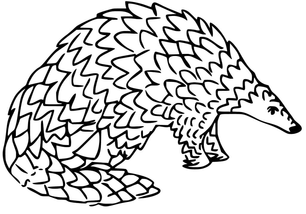 Printable Pangolin