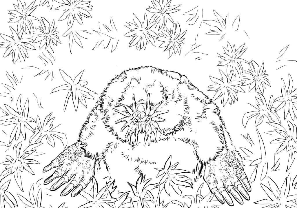 Realistic Star Nosed Mole