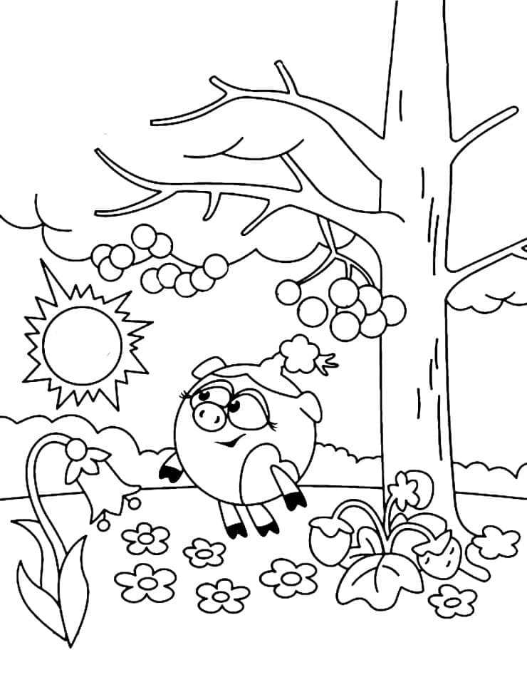 RosaRiki and Sun Coloring Game RosaRiki and Sun