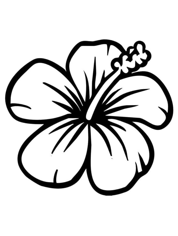 Simple Hibiscus Coloring Game Simple Hibiscus