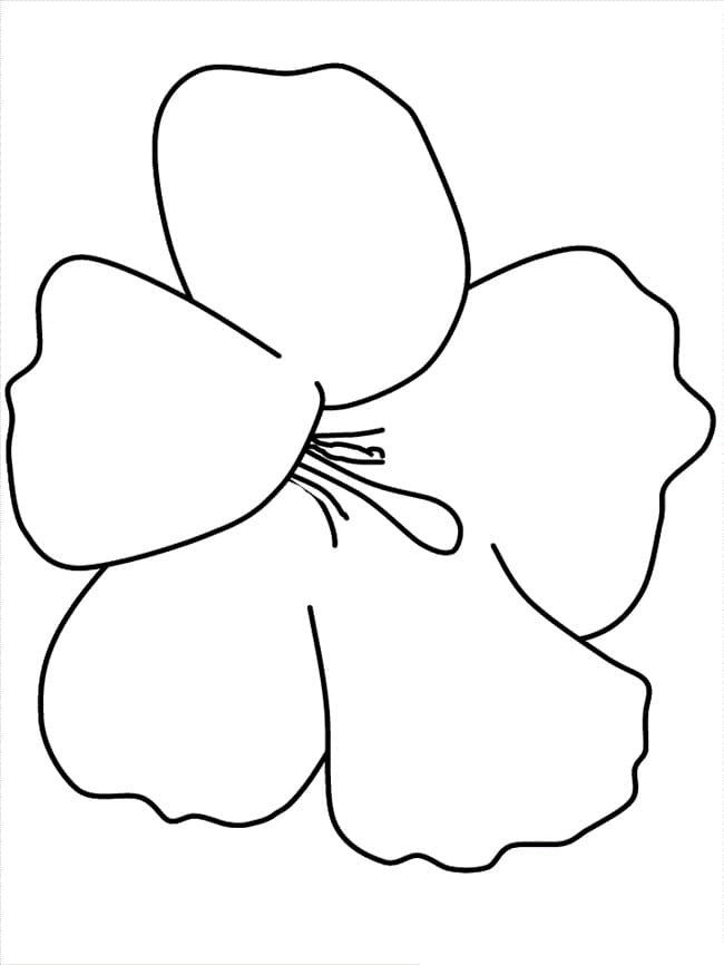 Simple Hibiscus Flower Coloring Game Simple Hibiscus Flower