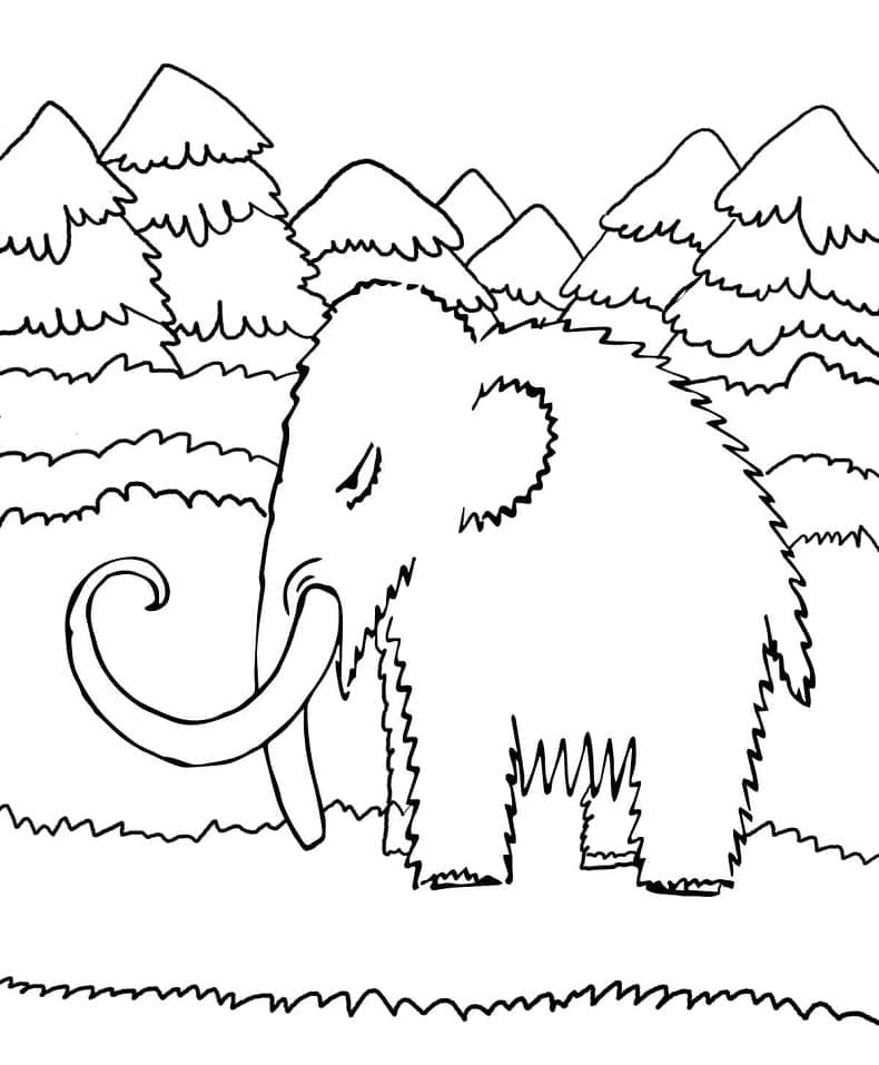 Small Mammoth