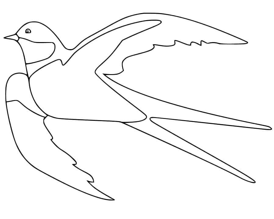 Swallow 4 Coloring Game Swallow 4