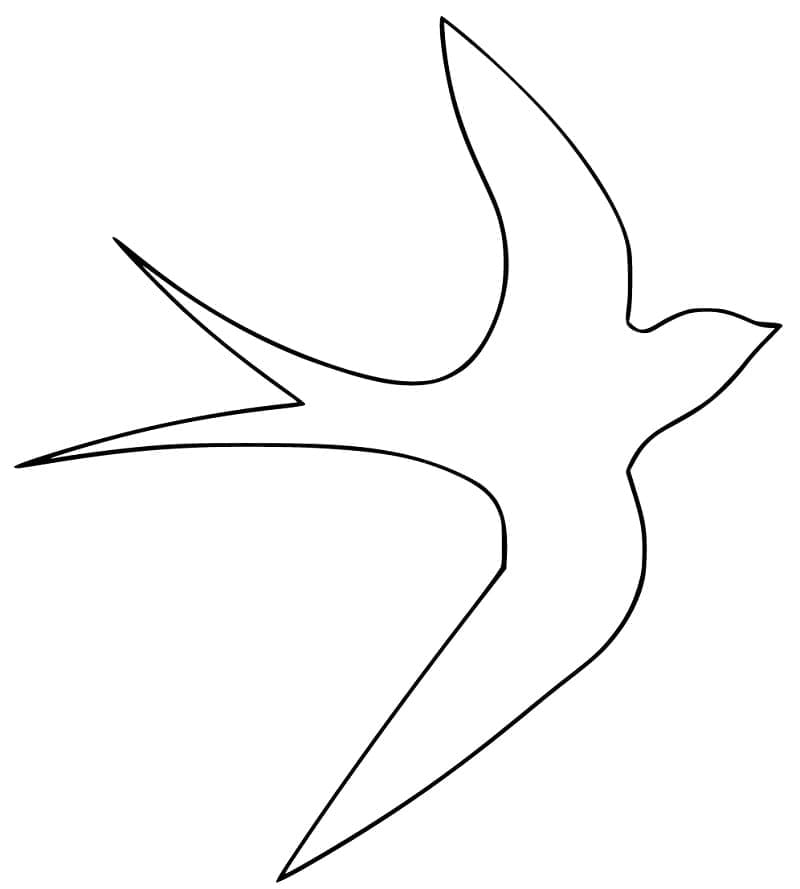 Swallow Outline Coloring Game Swallow Outline