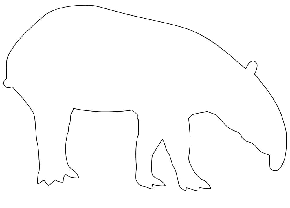 Tapir Outline
