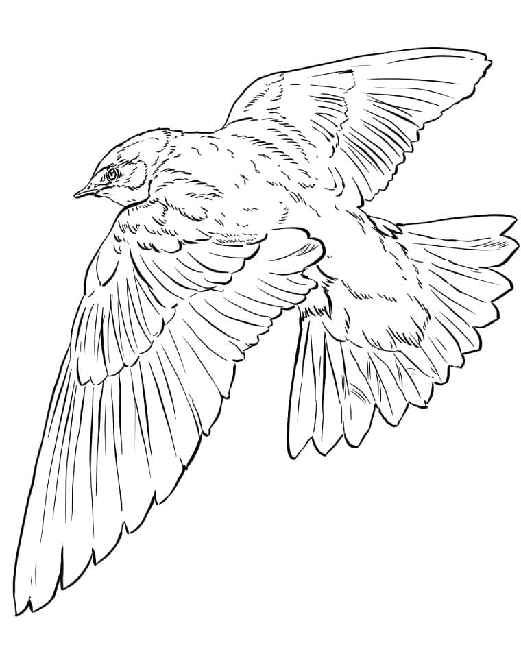 Tree Swallow Coloring Game Tree Swallow