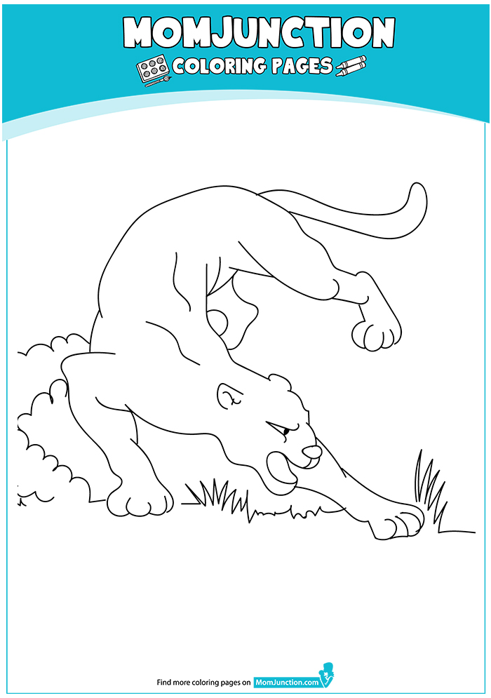 1526130296_eastern-cougar-16-a4