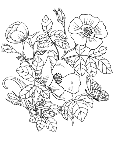 Spring Flowers And Butterfly Coloring Game Spring Flowers And Butterfly